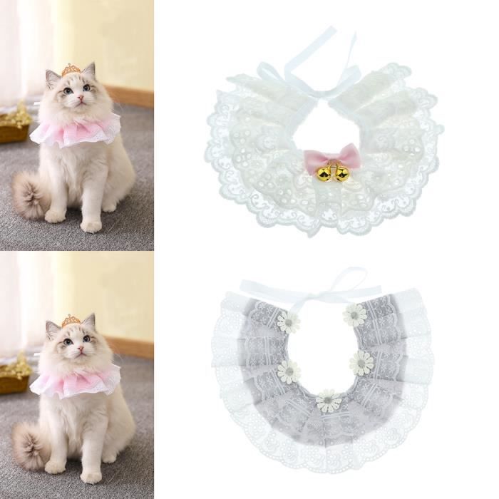 Collier Anti Fugue Cloture Anti Fugue Pack Anti Fugue Collier Bandana Chat 2 Pieces Cdiscount Animalerie Collier Anti Fugue Cloture Anti Fugue Pack Anti Fugue Collier Bandana Chat 2 Pieces Cdiscount Animalerie