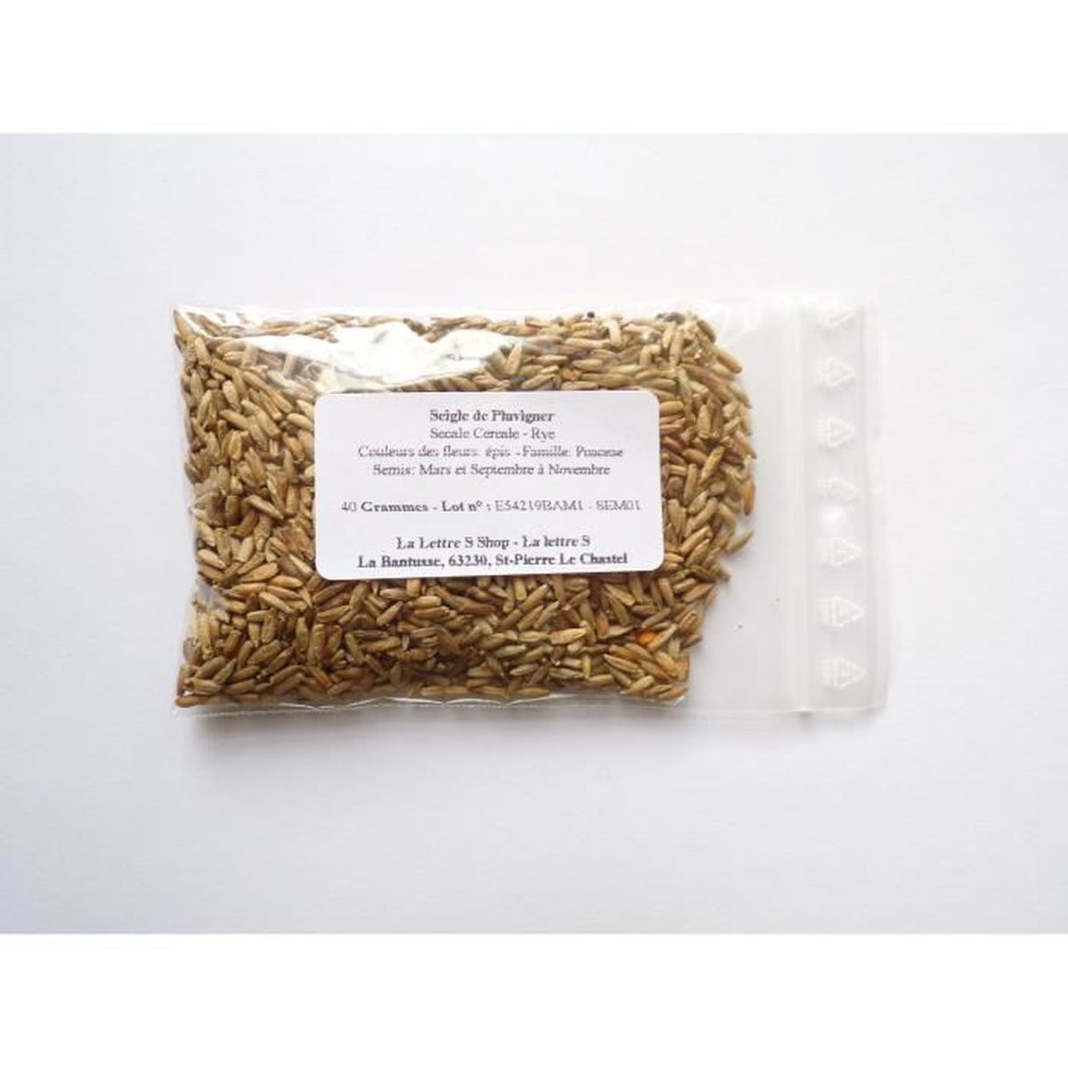 seigle de pluvigner 40 grammes secale cereale rye engrais vert green manure sem01 cdiscount jardin