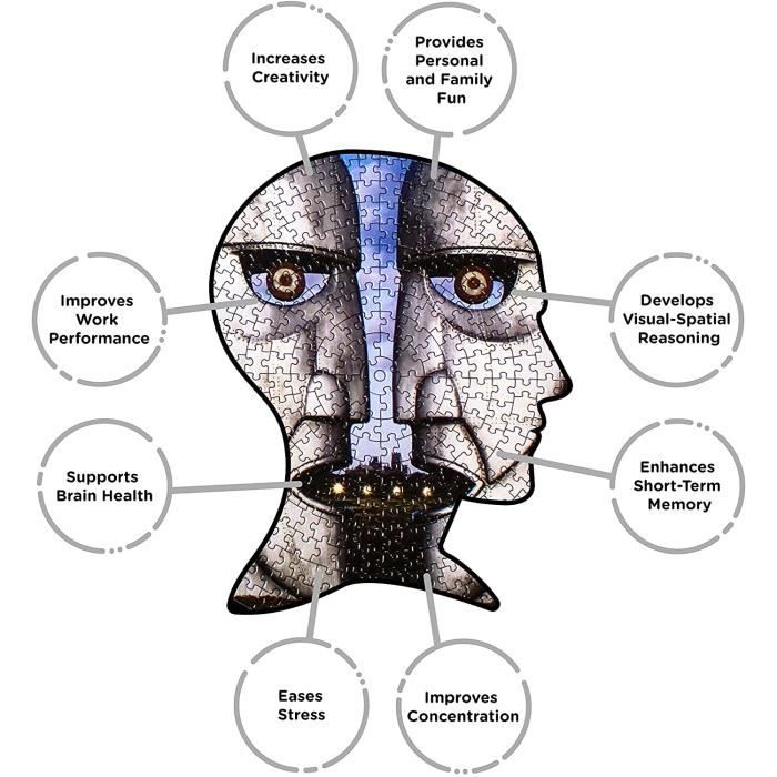 NMR DISTRIBUTION Pink Floyd Division Bell 450 Piece Picture Disc