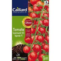 Caillard PFCC15930 Graines de Tomate Supersweet 100 Hybride F1…