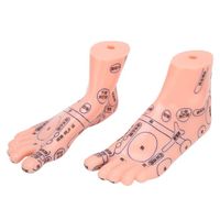 Zerodis Modèle de réflexologie plantaire 1 paire de pieds humains modèle de point d'acupuncture réflexologie plantaire modèle