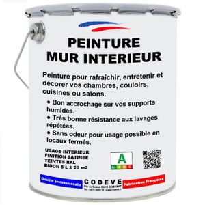 PEINTURE - VERNIS Peinture Mur Interieur - Pot 5 L   - Codeve Bois -