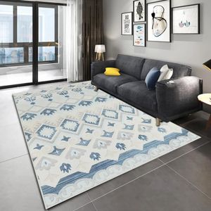 Tapis Salon Multicolore Achat Vente Pas Cher