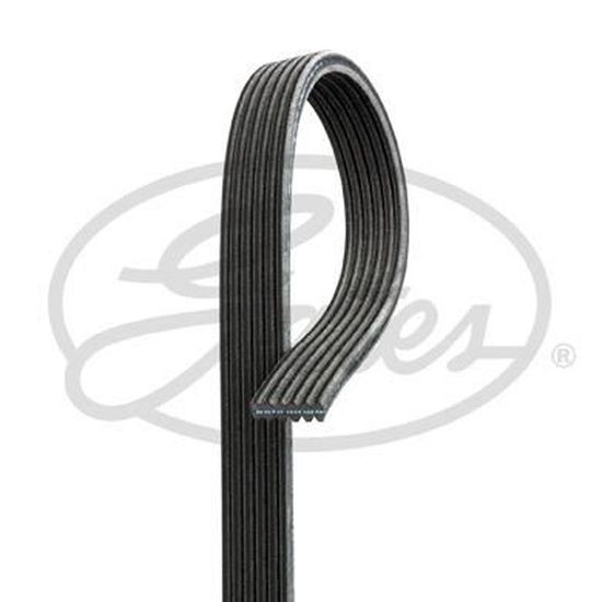Dayco 6DPK1698 Courroie Accessoire