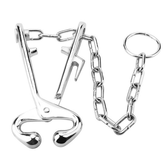 Pince à Nez Pour Bovins En Acier Inoxydable Avec Chaîne - Pour Le Contrôle Et La Conduite Des Vaches