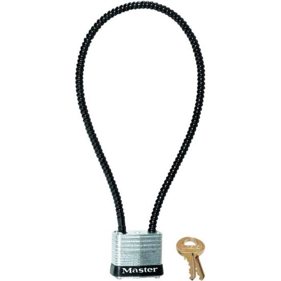 AJW-MASTER LOCK CO Cable Gun Lock[524] - Cdiscount Bricolage
