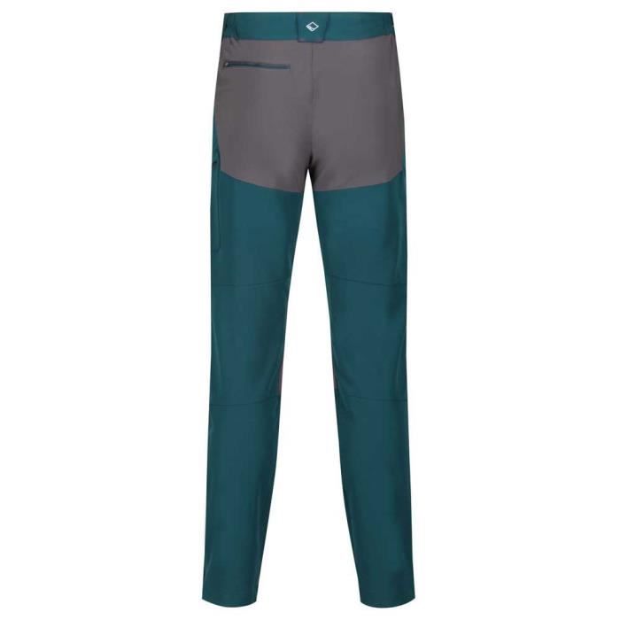 Vêtements Homme Pantalons Regatta Questra Ii Pants Regular