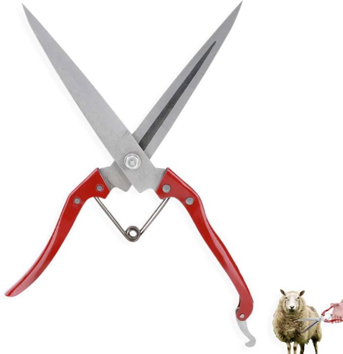 Meilleurs prix pour Taille-Sabot de ChèvreCiseaux de chèvreCisailles à Moutons manuelles de 12 PoucesCiseaux de Coupe de Laine dacier Inoxydable