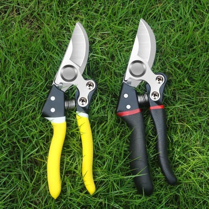 Lot De 2 Sécateurs De Jardin GGUFAY - Ciseaux à Bonsaï Et Cueillette - Taille Plantes, Fruits, Légumes - 4