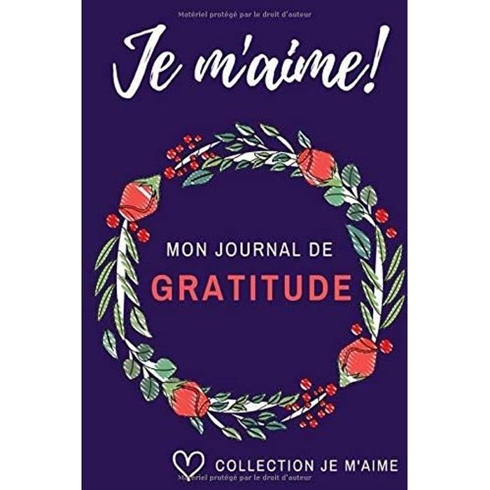 Journal de Gratitude : Une page par jour à remplir quotidiennement pour  Vivre Mieux et Être Plus Heureux (30 jours guidés): Journal de Gratitude