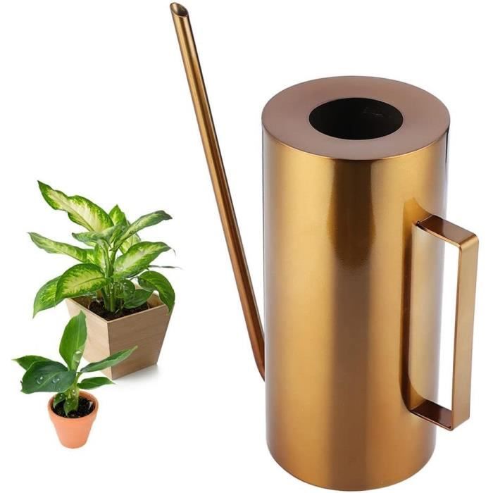 Mini Arrosoir En Inox OFKPO - Pour Plantes D'Intérieur | Design Élégant | Bec Long Précis