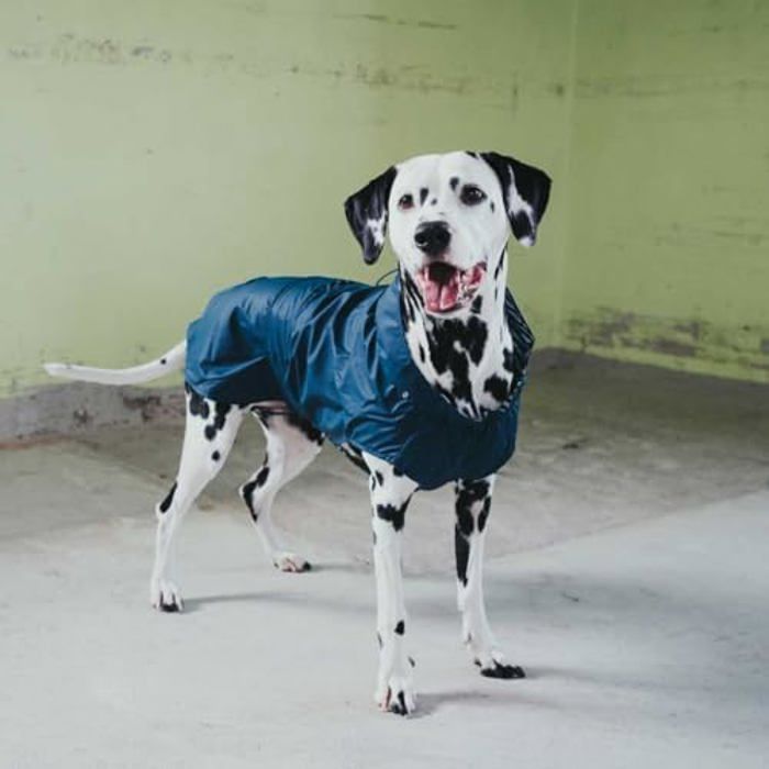 MANTEAU IMPERMÉABLE POUR CHIENS, GILET CHAUD POUR CHIENS, Gilet Harnais