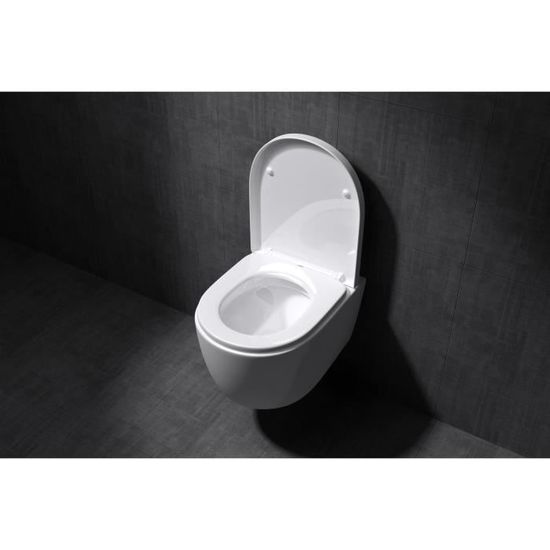 ITEOBA Abattant WC avec Frein de chute Lunette de Toilette Clipsable avec  Siège Enfant Magnétique Lunette WC avec Charnières R34 - Cdiscount Bricolage