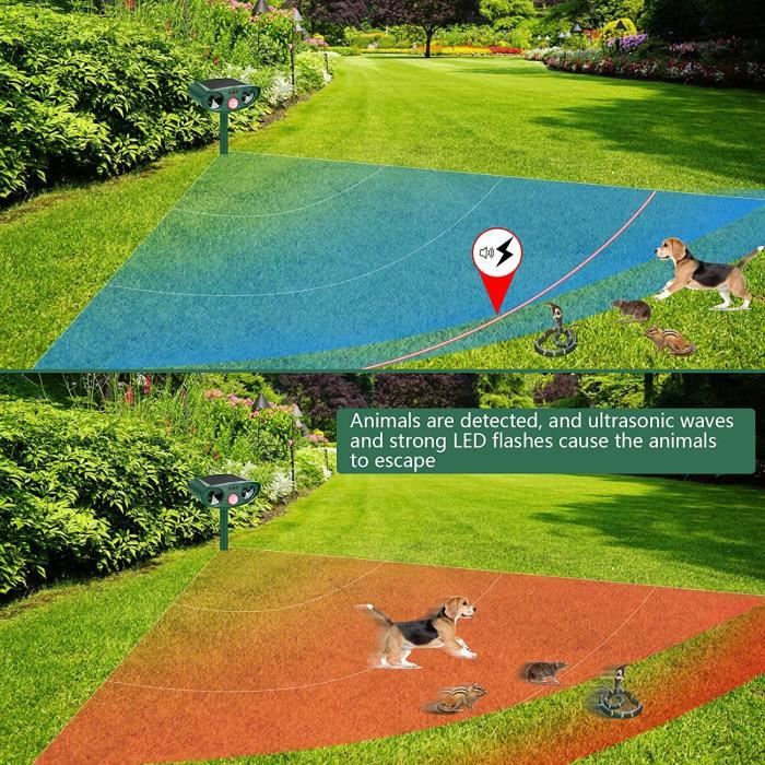 Répulsif Solaire à Ultrasons Pour Chat Répulsif Pour Chat, Puissant