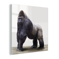 Tableau - Toile - MuchoWow - Carré - 20x20 cm - Gorille Animaux - Multicolore