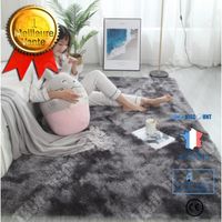TD® Tapis de chevet de chambre à coucher de tapis de table basse de salon en peluche