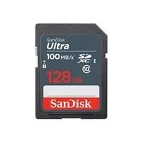 Carte mémoire flash - SANDISK -  - 128GB -  -  (SDSDUNR-128G-GN3IN)