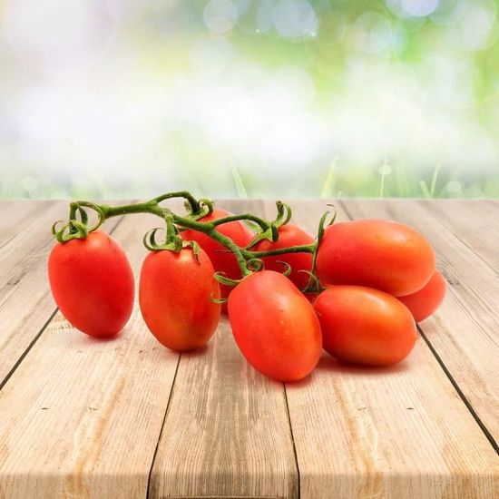 Germes De Soja (verts), Graines Prêt à Pousser Minigarden, 100% Naturelles Sans Propagateurs