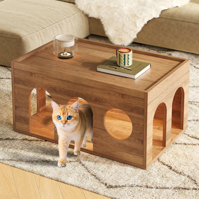 Table basse en noyer - 80x50x40 cm - Design moderne - Trou de chat ...