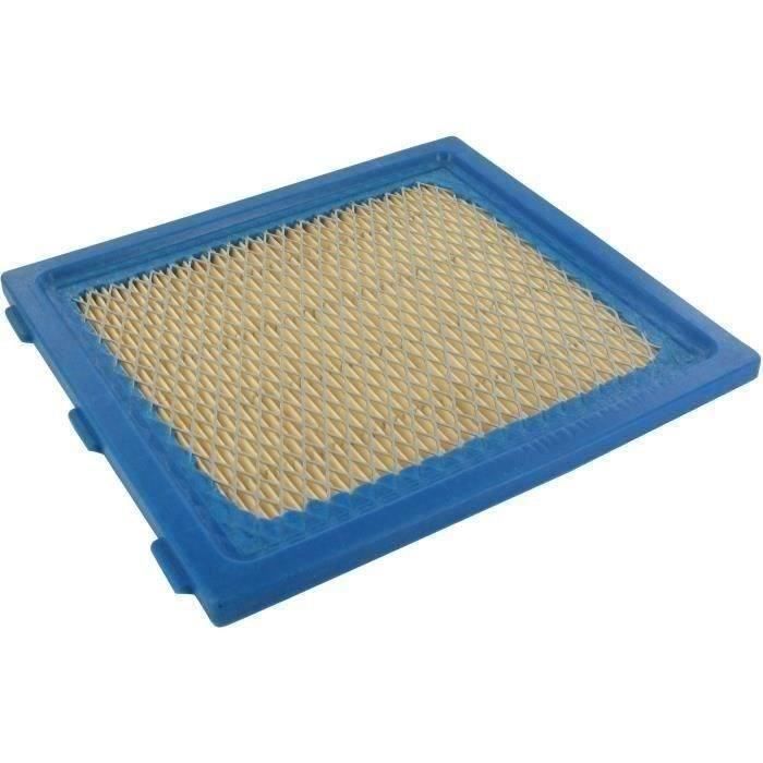 Filtre à air BRIGGS ET STRATTON 805113