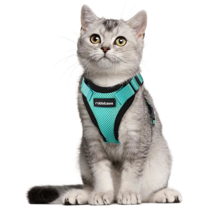 Harnais Chien Chat Réglable Réfléchissant Anti Traction Pour Les Petites Chiens Chats Facile à Mettre Tailles Vert