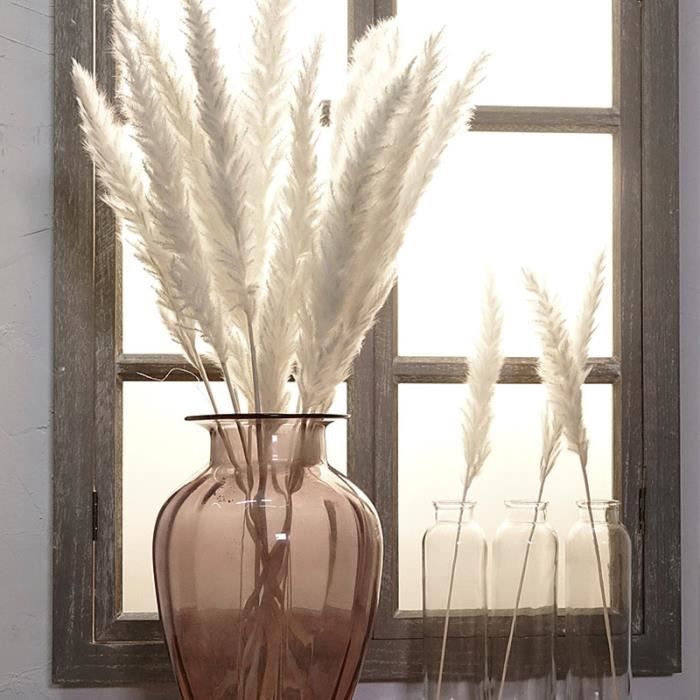 15 pcs séchées petite pampa herbe phragmites Communis décoration pour le  mariage à la maison Hôtel – blanc - Cdiscount Maison