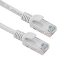  Réseau CAT5e RJ45 Ethernet LAN Câble Patch plomb 30m-2