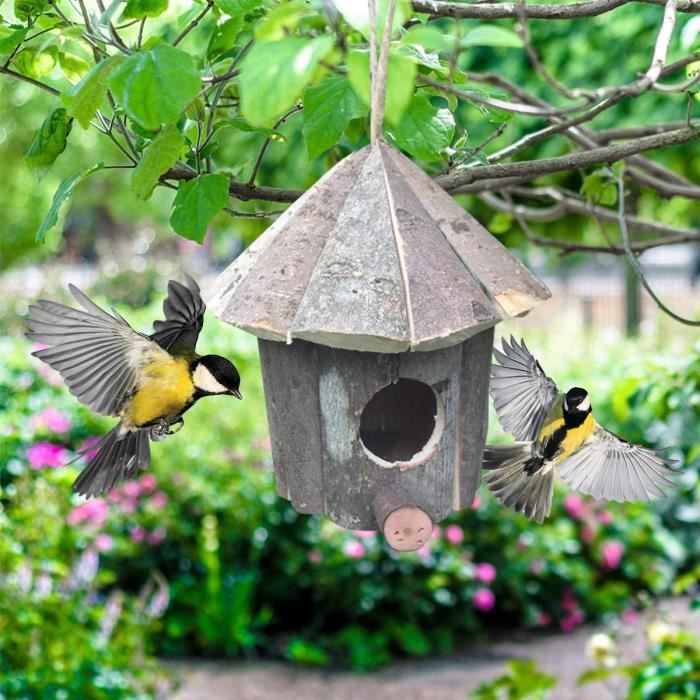 Maison d'oiseau, nichoirs à l'extérieur Kits de construction pour enfants  suspendus nids d'oiseaux en bois maison nichoir - Cdiscount Animalerie