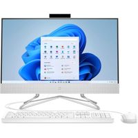 PC All-in-One HP 24-df1002nf - 23,8" FHD - Intel C