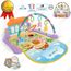 Tapis Aire D Eveil Support Musical Bebe Fille Garcon Chansons Jouets Jardin Enchante Naissance Piano Miroir Suspendu Haute Quali Achat Vente Tapis Eveil Aire Bebe 4871812002300 Cdiscount