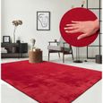 Tapis pour le salon ou de chambre - rouge - 160x220 cm | Rectangulaire | Lavable jusqu'à 30 degrés | Tapis LOFT de The Carpet-0