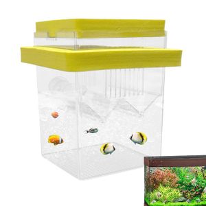 Guppy Boîte D'élevage Pour Aquarium - Boîte à - Cadre
