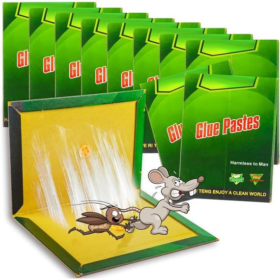 Piege a Souris 4 Pcs Piege a Rat étanche Attrape Souris Efficace Anti