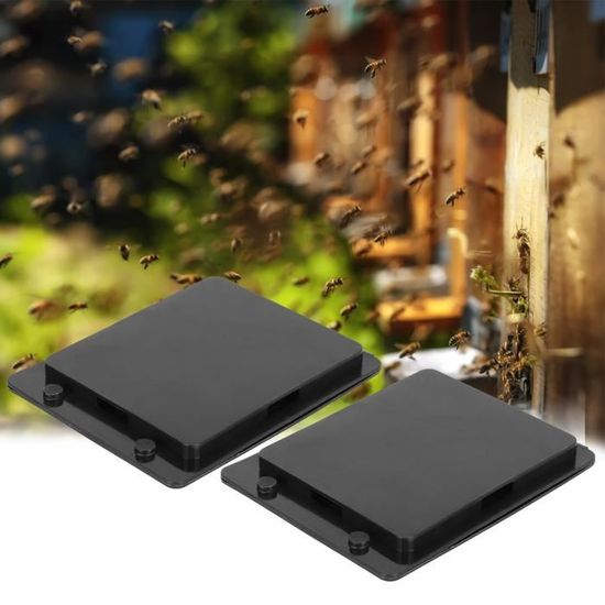 Hanured - Lot De 50 Pièges à Coléoptères Pour Ruches En Plastique Noir - Protection Naturelle Pour Abeilles, Sans Produits Chimiques