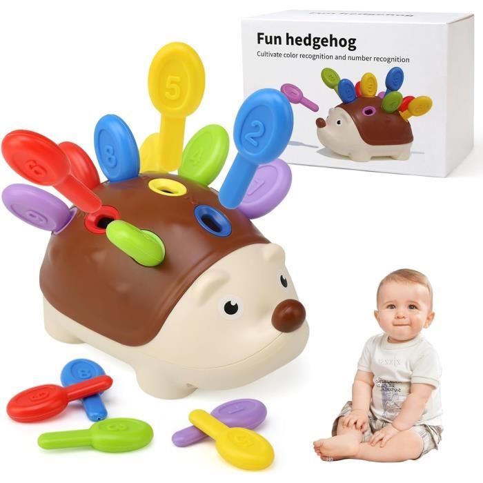 Jouet Montessori 18 Mois,Hérisson Jouet de Tri, Jouet Sensoriel Motricité  Fine Bebe Jeux Éducatif,Cadeau pour Fille Garcon 1 2 3 Ans - Cdiscount  Puériculture & Eveil bébé