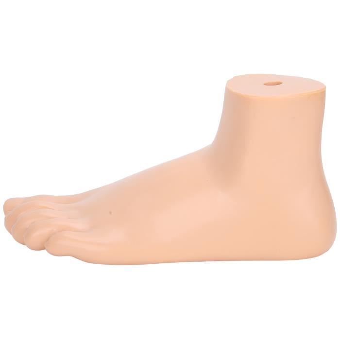 Hililand modèle de pied 1: 1 Modèle de pied humain Adultes Taille de la