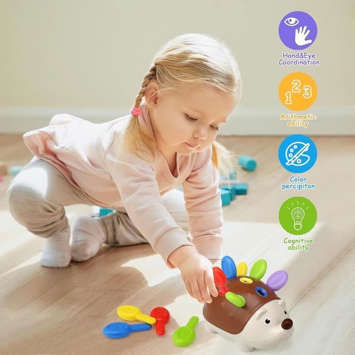Jouet Montessori 18 Mois,Hérisson Jouet de Tri, Jouet Sensoriel