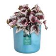 Pot de fleurs ronde ELHO The Ocean Collection - Bleu - Ø 22 x H 20 cm - 100% recyclé-3