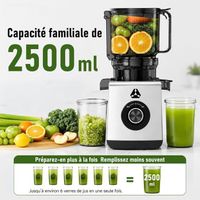 Extracteur De Jus AOBOSI 250W - Bec Large 103 Mm, Capacité 1,2L, 2 Filtres Sans Métal, Protection Surchauffe 40 Min - Gris