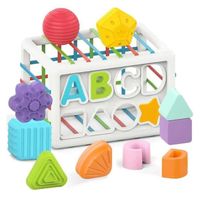 Trieur de Forme pour Bebe - Jouets Montessori pour Garçon et Fille - Cube Jouet Bébé pour Les Tout-Petits de 1 à 3 Ans
