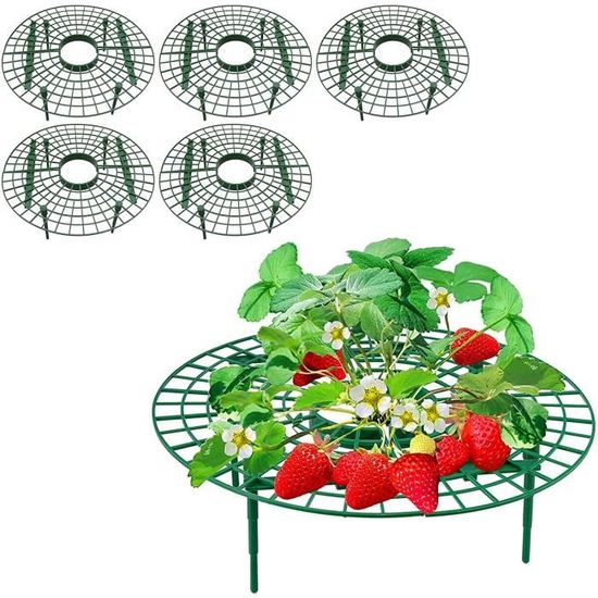 Yeemeen Support Fraisier En Plastique 3PCS Support Plantation Fraise Cadre Plantation Contre Escargot Empêchent Les Fraises De Pourrir Dans Les Jours De Pluie