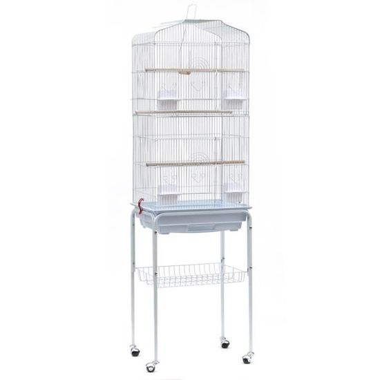 Sitemapcdatahttpsshopinf Inetcomcage Oiseau Sur Pied Occasion