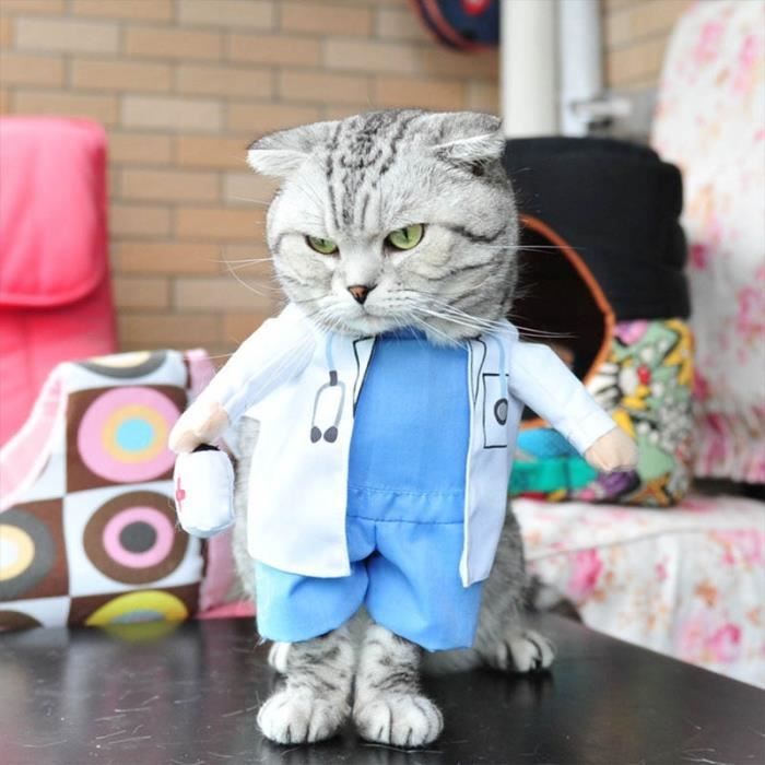Manteau Blouson,Vêtements amusants pour chats Déguisement Pirate pour chat, Costume corsaire d'halloween pour - Type doctor-S