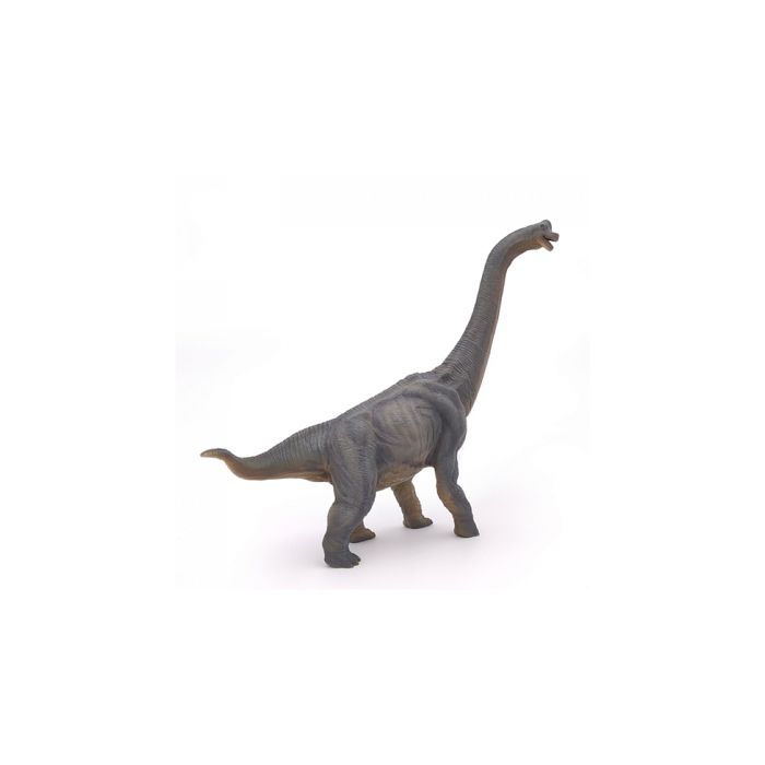 Papo - Figurines A Collectionner - Dinosaures - Brachiosaure - Pour Enfants - Convient Aux Filles Et Garçons - A Partir De 3 Ans