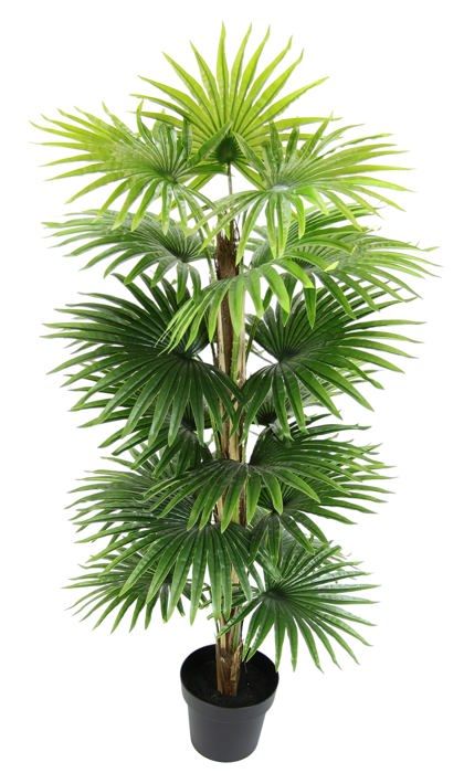 Palmier Cycus Artificiel Avec Pot 80 Cm - Plante Artificielle Et Mini