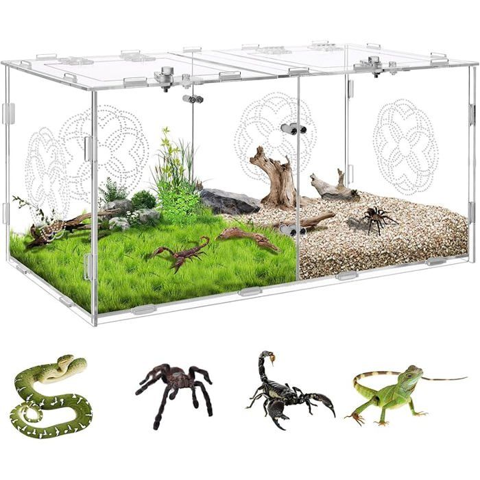 Enclos en Acrylique pour araignées sauteuses avec Double Compartiments Grande Taille 40 x 20 x 20 cm Terrarium pour transp PERCHOIR