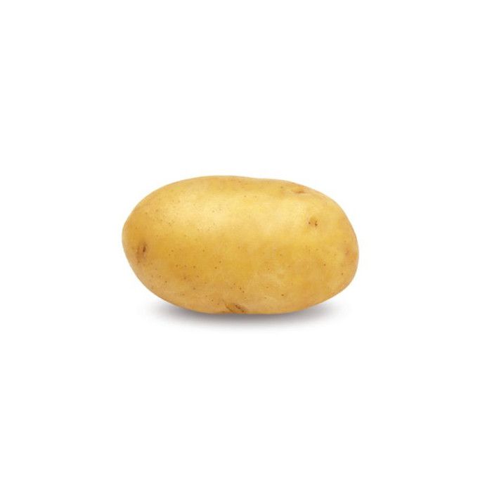 Victoria 100 Plants de pomme de terre - Cdiscount Jardin