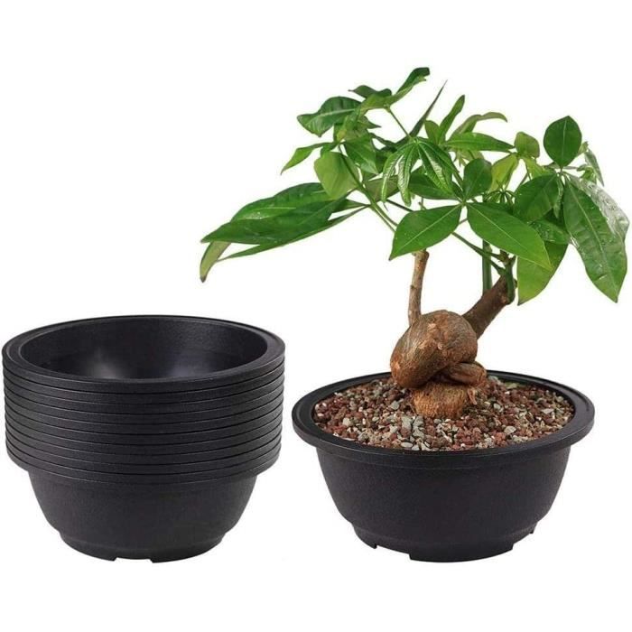 Lot De 6 Pots De Fleurs Céramique Hibou – 2,5 Pouces – Pour Succulentes, Cactus – Couleurs Assorties