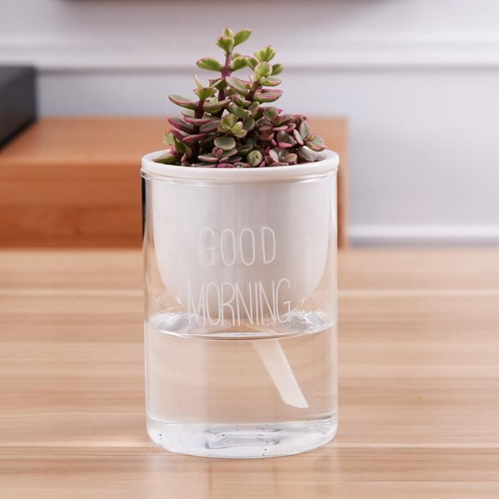 Pot d'arrosage automatique pour plantes vertes, Pot de fleur en céramique  avec conteneur d'eau en verre, Cact - Cdiscount Jardin