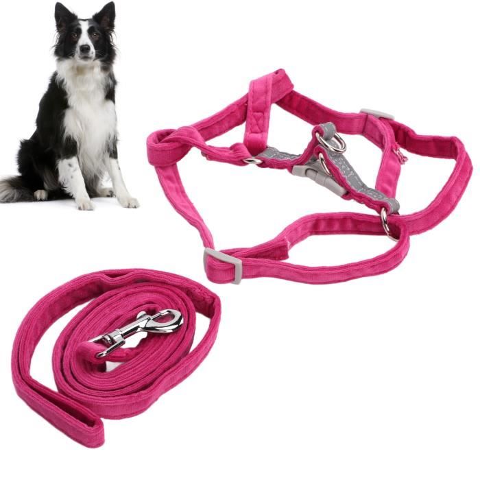 Ceinture De Sécurité Moto Réglable Pour Enfant 2-12 Ans - Matériau Respirant, Bandes Réfléchissantes - Pour Scooter, VTT, Motoneige